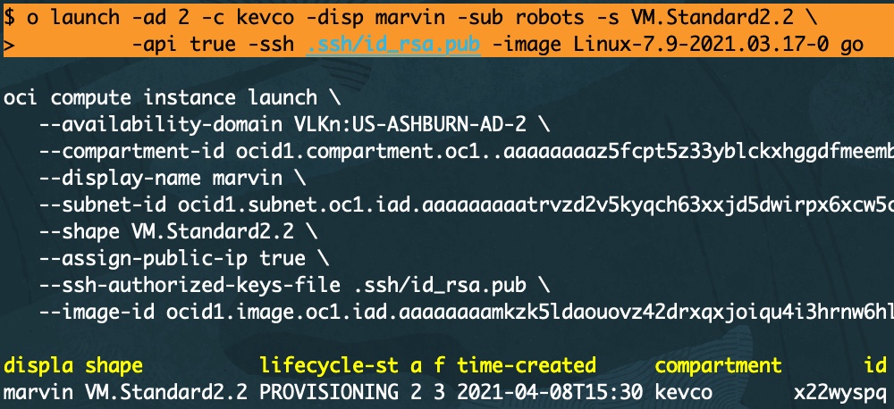 A screenshot of the output for creating an instance.