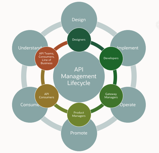 A graphic depicting the API Management Lifecycle, whom it involves, and steps of how it works.