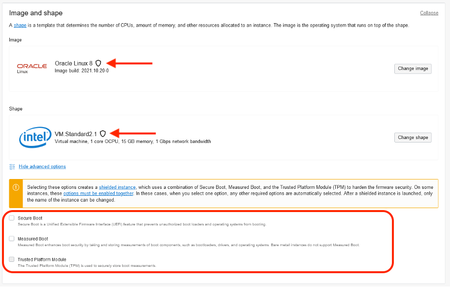 A screenshot of the Image and Shape screen in the Console with red arrows pointing to the shield icons and the options for shielded instances circled in red.