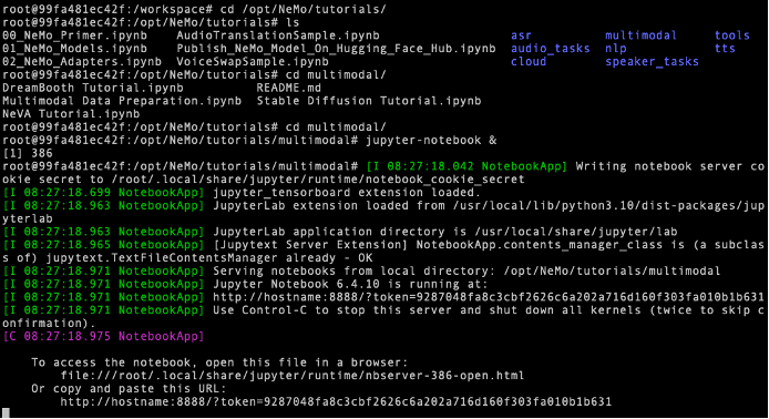Start NeMO container