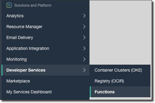 Screenshot that shows the navigation menu in the Console, with Developer Services and Functions selected.
