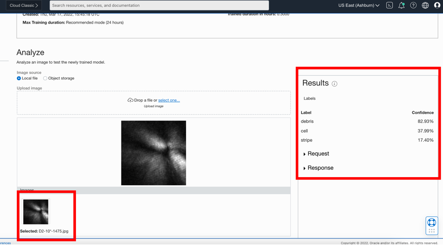 A screenshot of the Analyze section for uploading a test image.