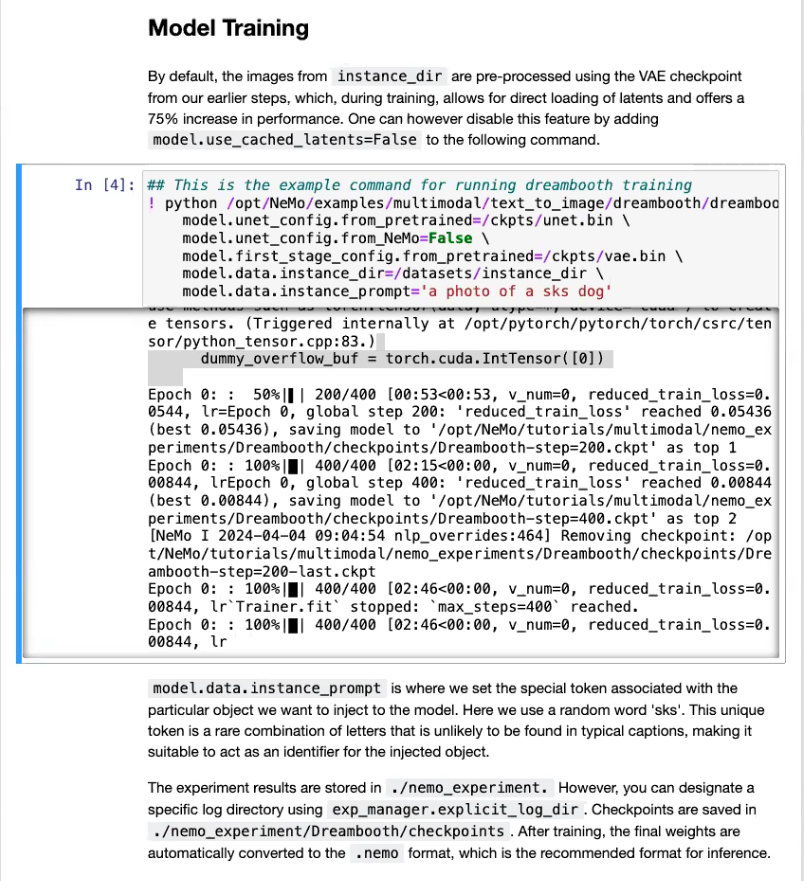 Training and fine tuning of model