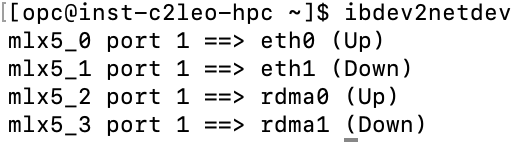 RDMA network device mapping.