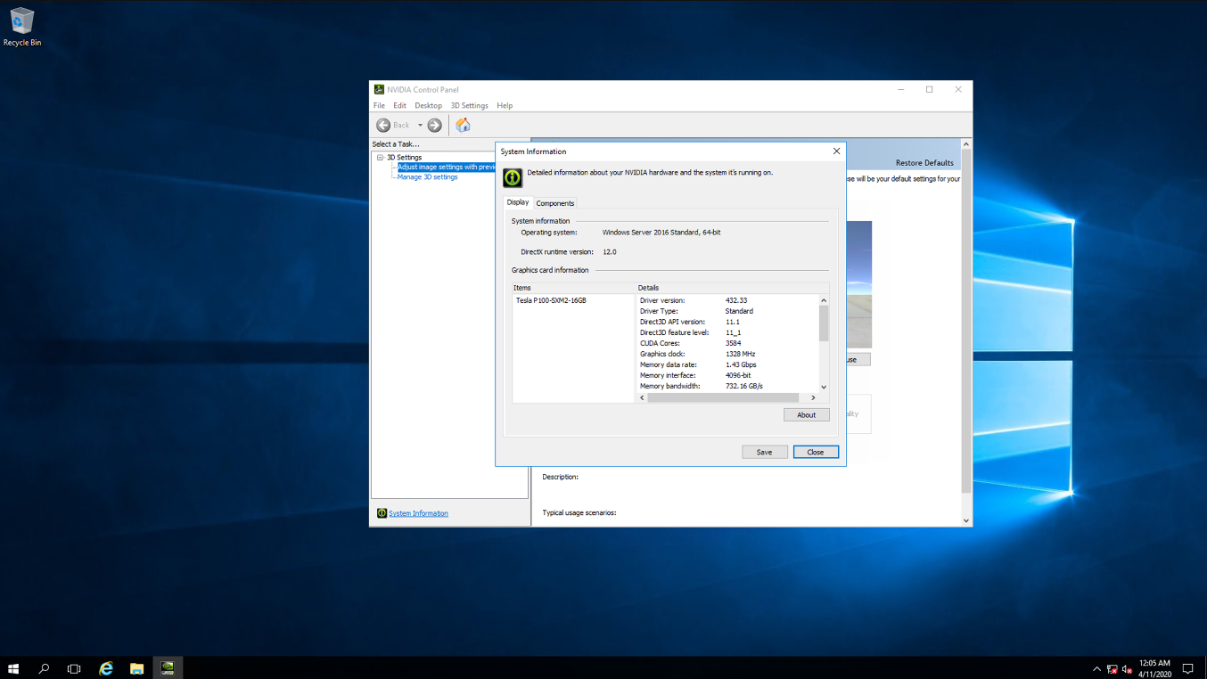 Screenshot that shows the NVIDIA System Information dialog box in the remote session.