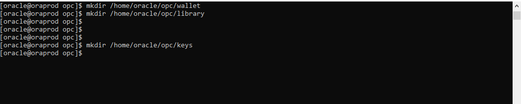 A screenshot of the code for creating directories.