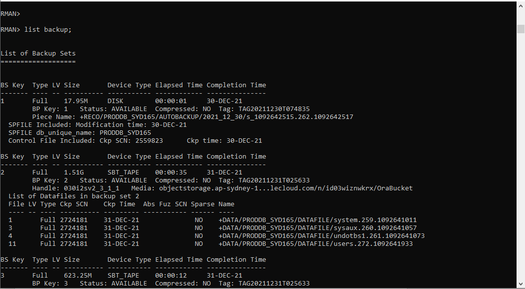 A screenshot of the code output for a successful backup.