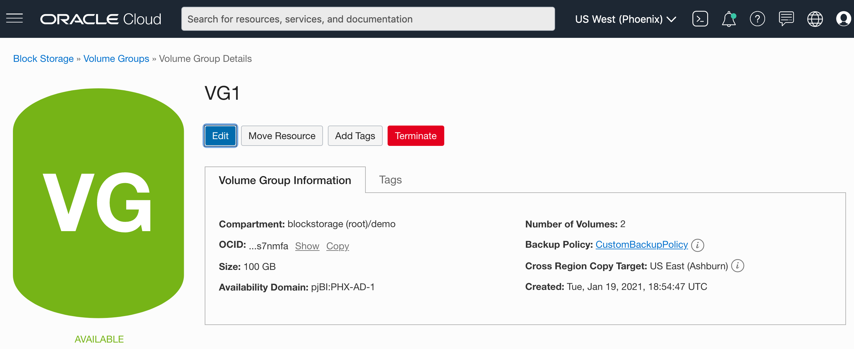 A screenshot of the Volume Group Details page for the demo group VG1.