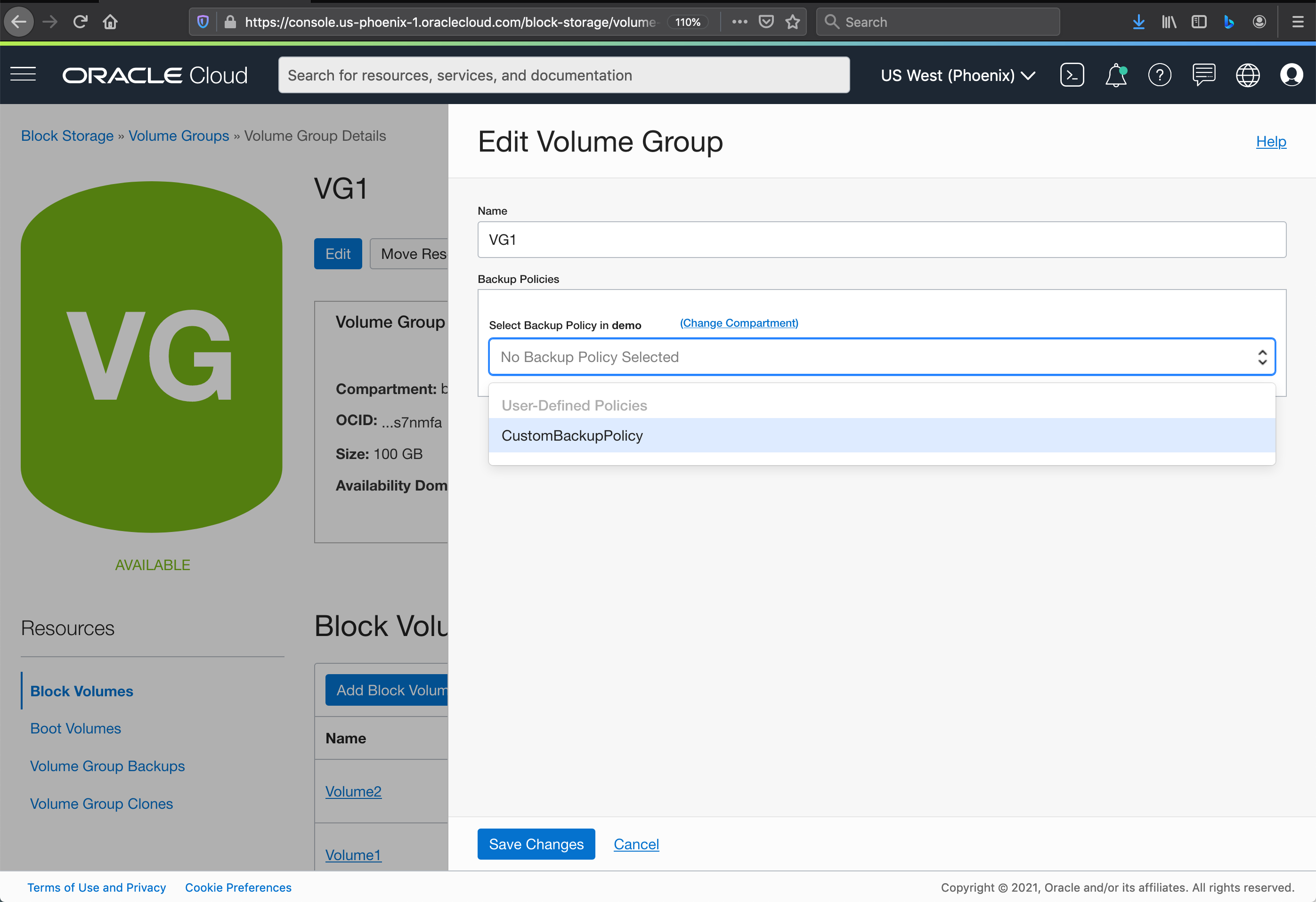 A screenshot of the Edit Volume Group page for the demo volume group.