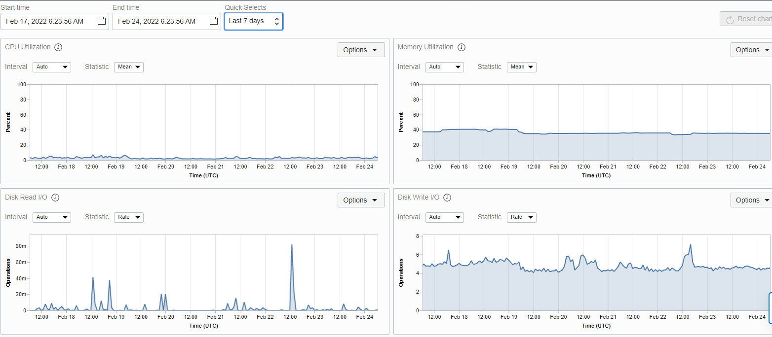 Image of report showing CPU and memory disk