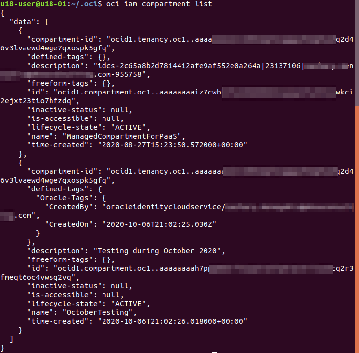 A screenshot of the resulting JSON format in the CLI, confirming that the API key is valid.
