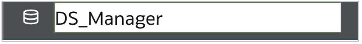 Rename to DS_Manager