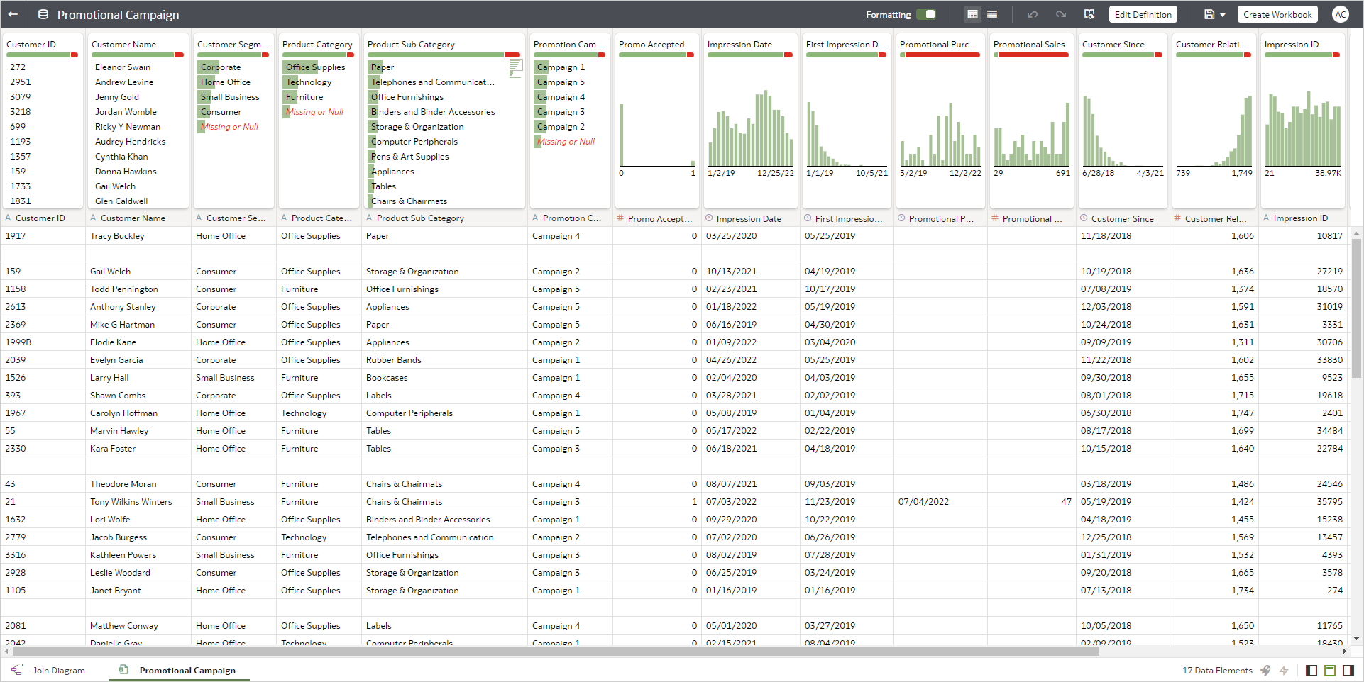 Promotional Campaign Dataset