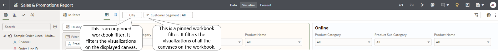 Pinned and Unpinned Workbook Filters