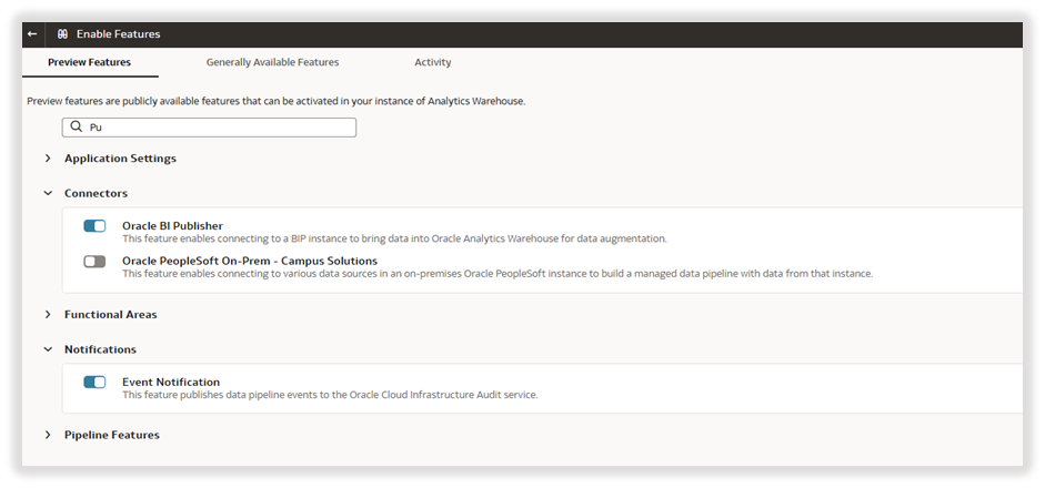 Enable the Oracle BI Publisher feature
