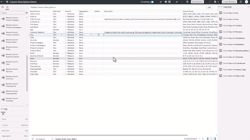Dataset Column Descriptions