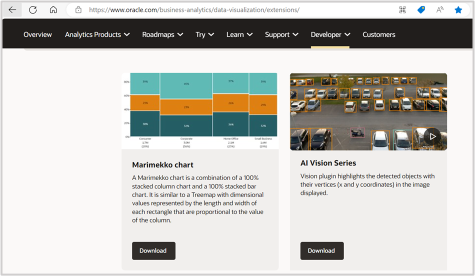 Fig. 6. Oracle Extensions Library