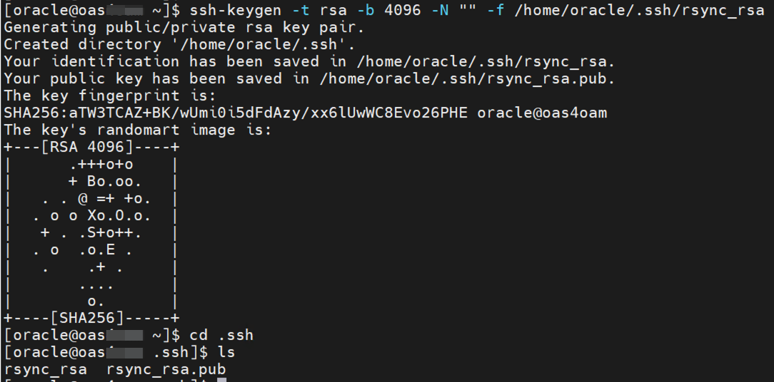 OASDR_RCU_Rsync2