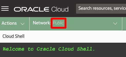 PublicCloudShellNetwork