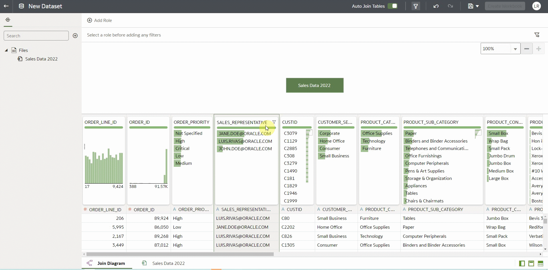 Using the USER() Variable with Role Based Filters