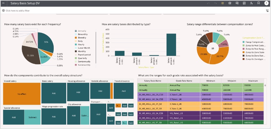 Salary Basis Setup Overview data visualization