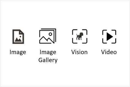 Visualizations that render images/videos in OAC
