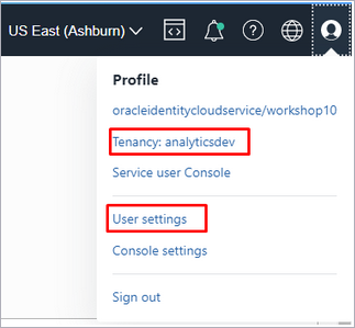 obtain both tenancy and user OCID information