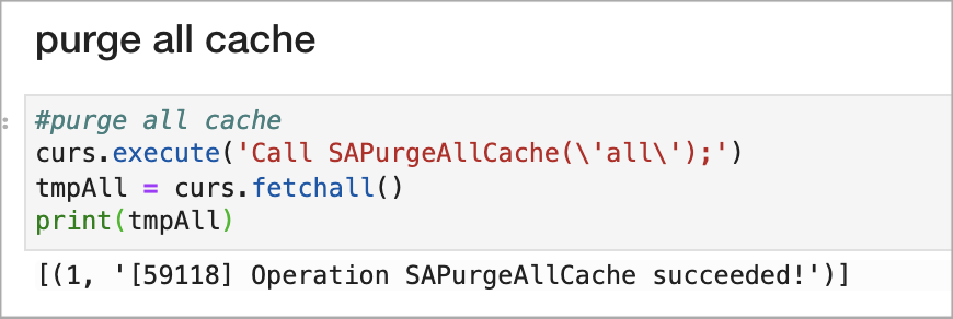 Sample notebook cell for purging all cache