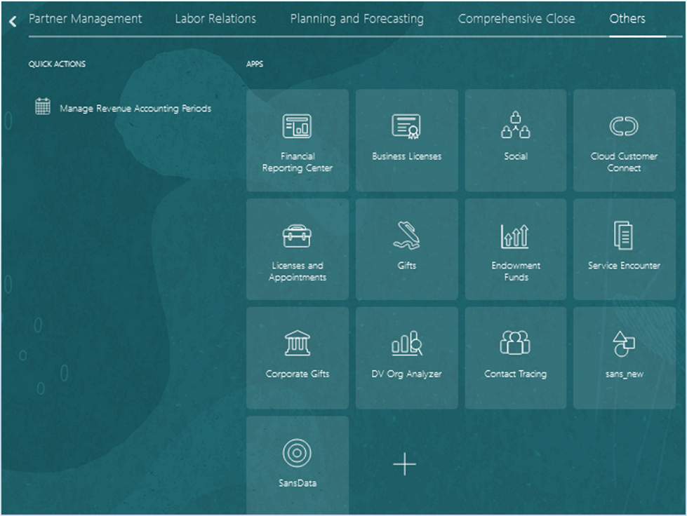 Test the Custom Object