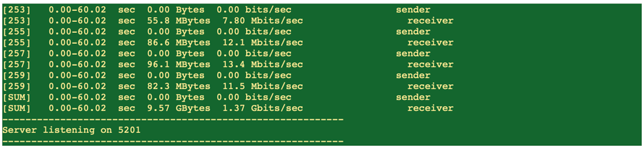 A screenshot of the encrypted traffic throughput validation.