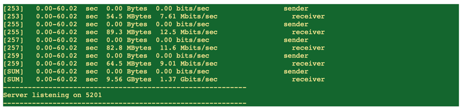A screenshot of the encrypted jumbo frames traffic throughput validation.