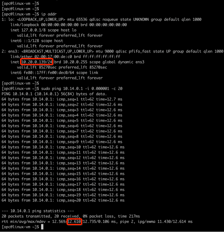 A screenshot of the results of the ICMP RTT connectivity test with the IP addresses outlined in red.
