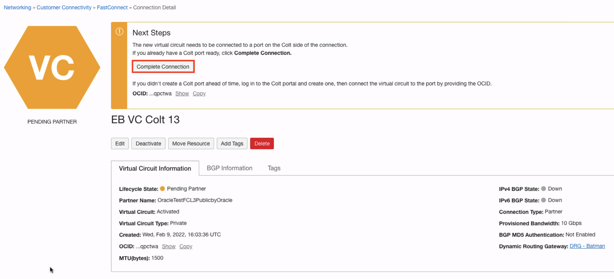 A screenshot of the Connection Detail page with the Next Steps banner at the top and the Complete Connection button outlined in red.