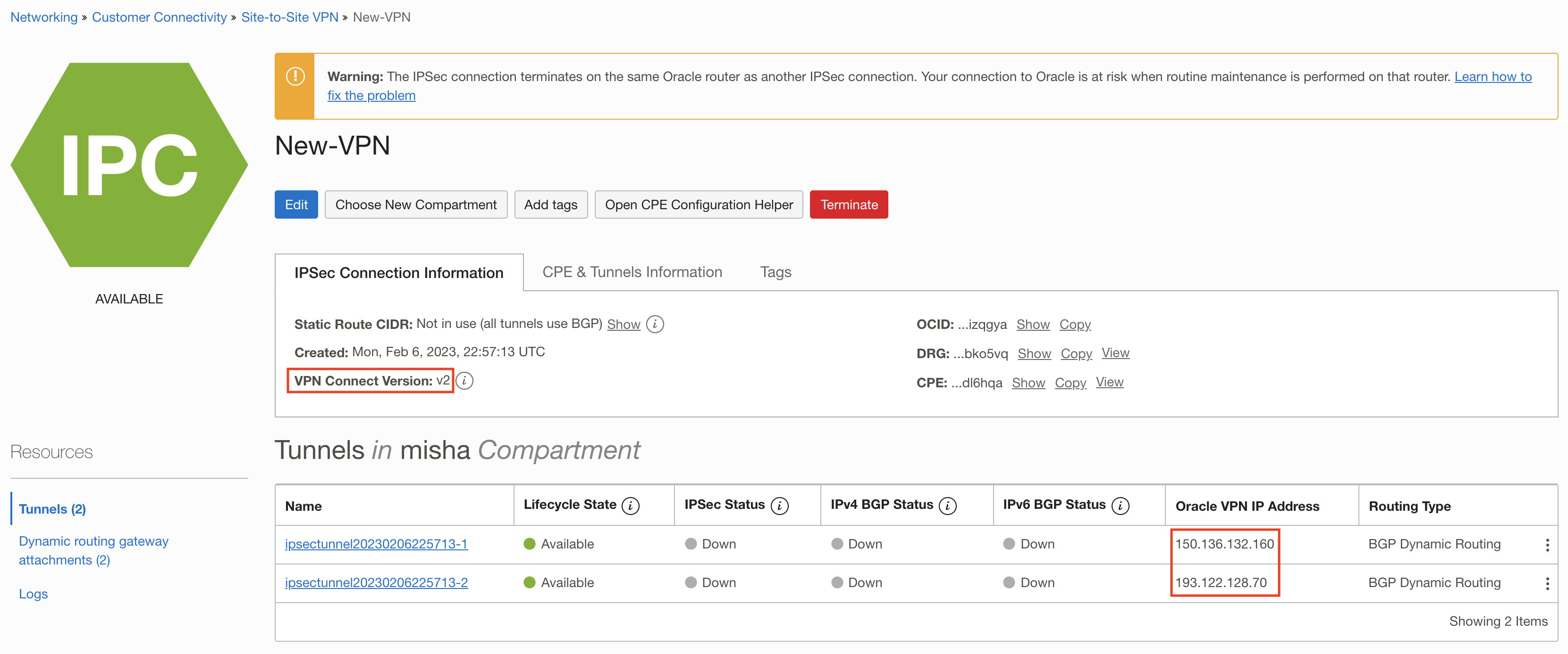 A screenshot of the New-VPN page in the Console with the VPN Connect version and IP addreses outlined in red.