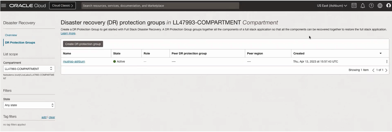 A screenshot of the disaster recovery protection group in the compartment in the primary region int he Oracle Cloud Console.