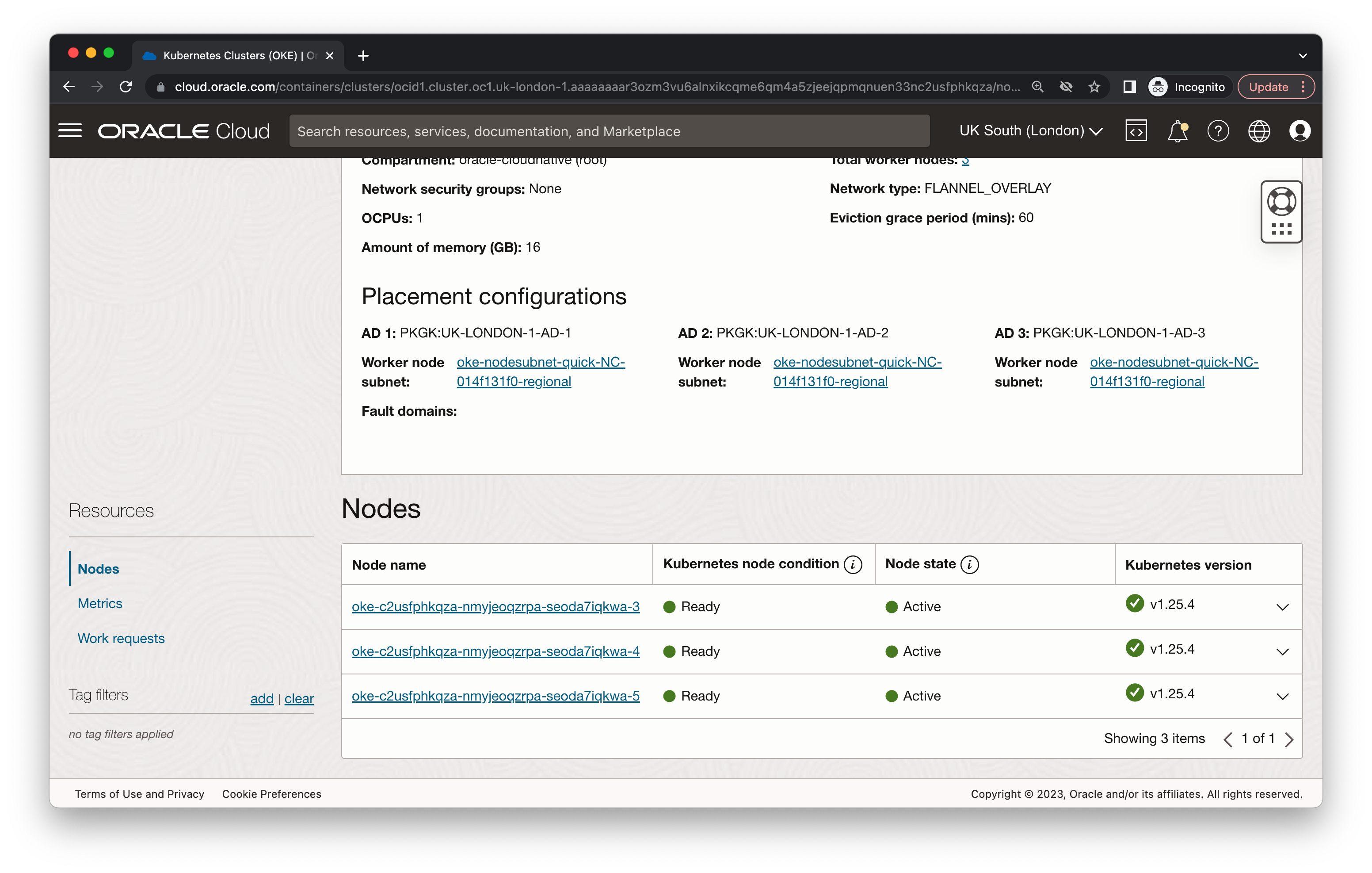 A screenshot of the Nodes section showing the updated and active nodes.