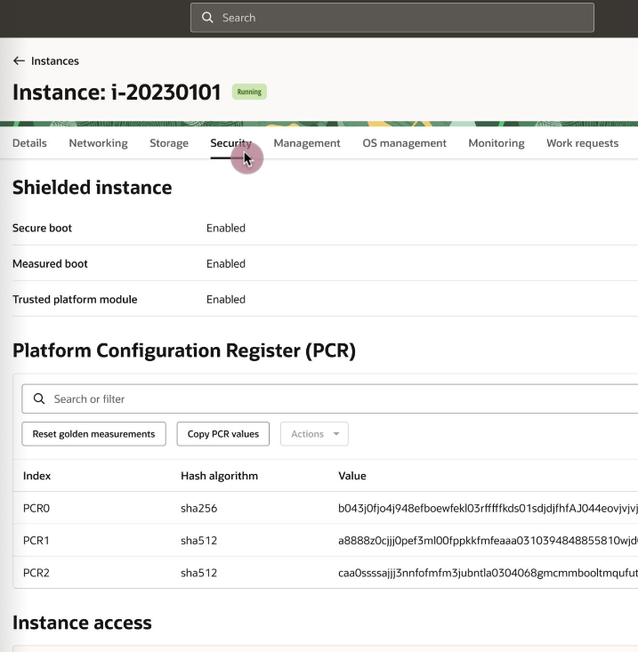 Highlighting different tabs for an instance, showing different relevant information.