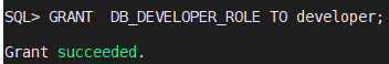 DB_DEVELOPER_ROLE