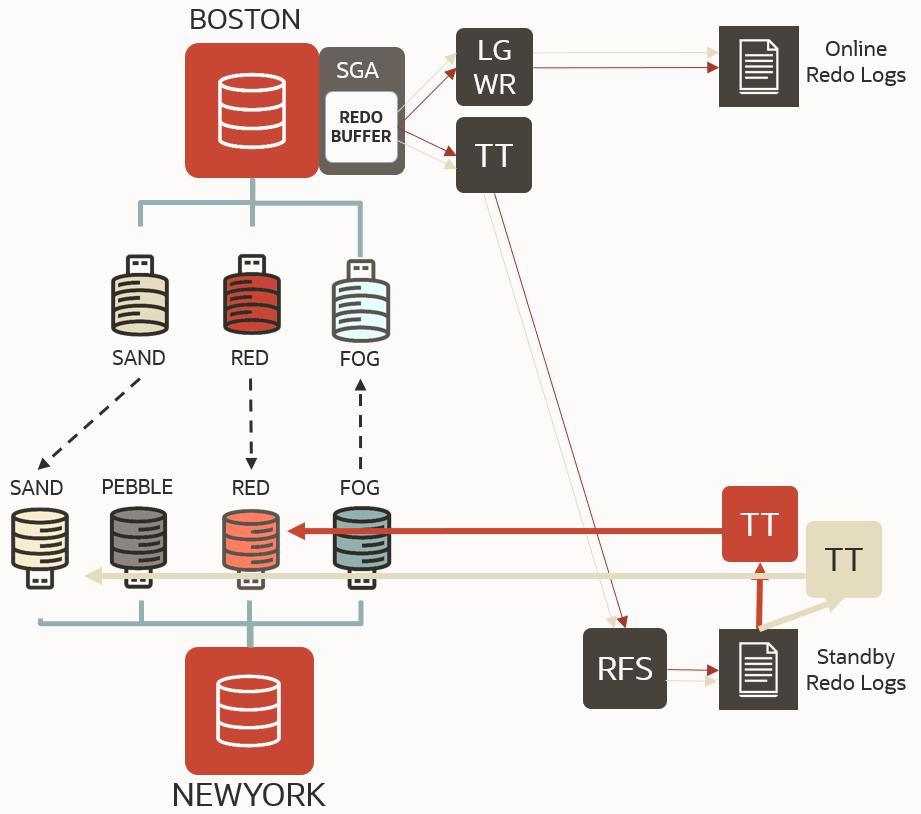 DGPDB leverages the same redo transport services of the traditional Data Guard, but there is one apply process per target PDB.