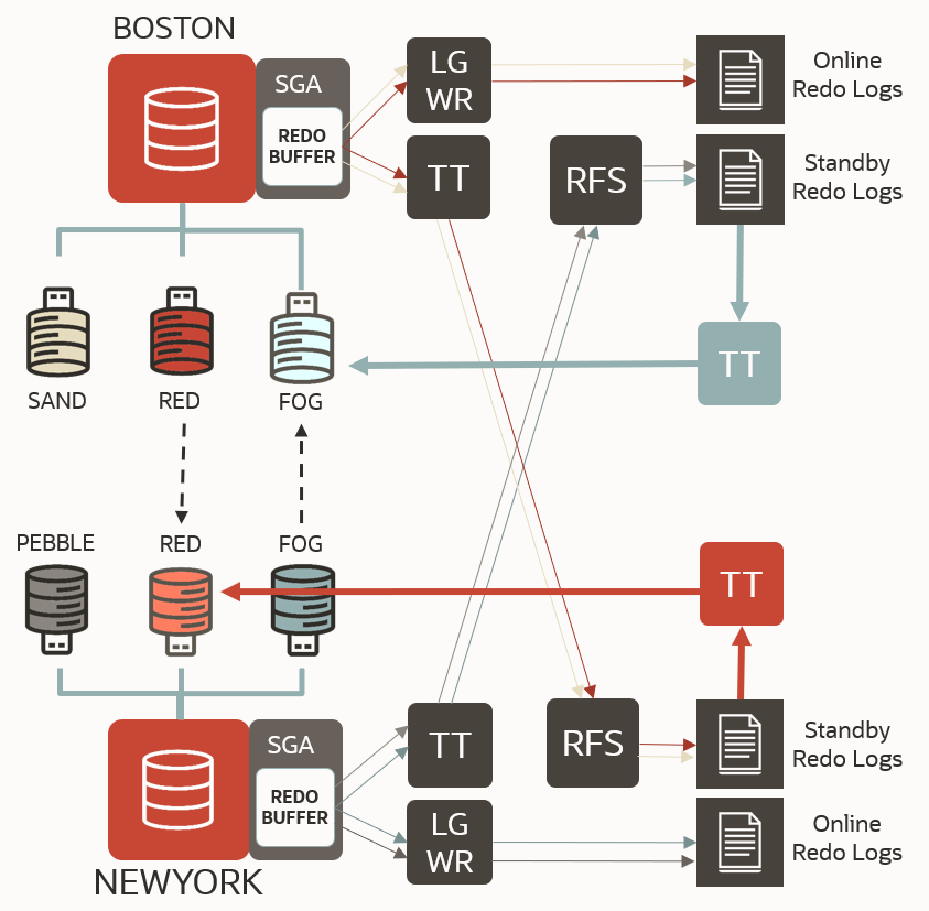With two primary CDBs in the configuraiton, the redo transport services are bi-directional.