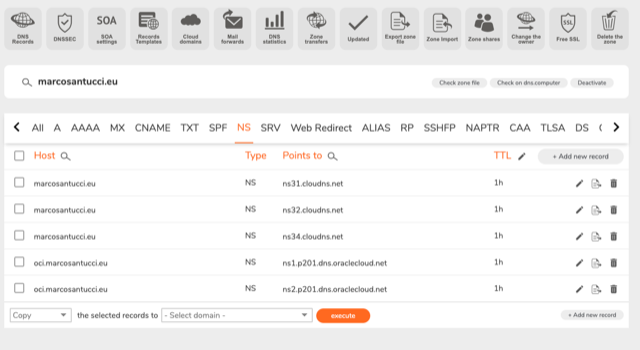 A screenshot of the records hosted in the zone.