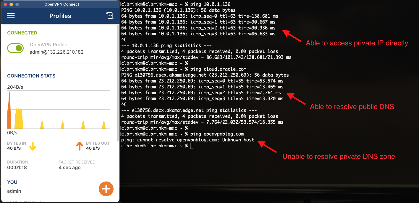 A screenshot of the initial behavior results.