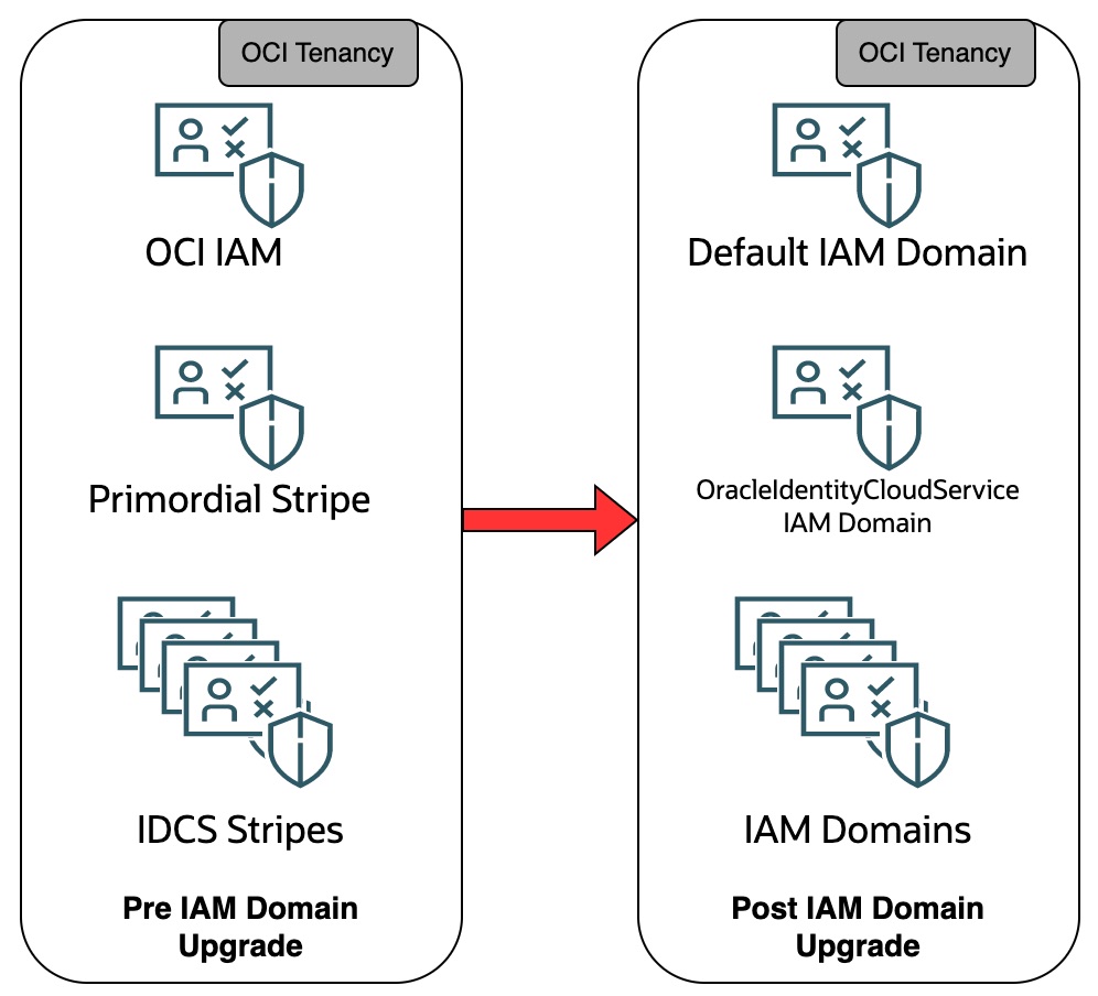 IDM Domain Mapping