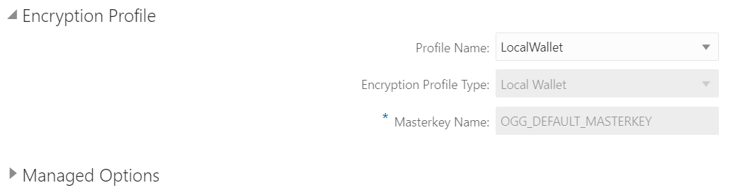 Encryption Profile in GoldenGate Console