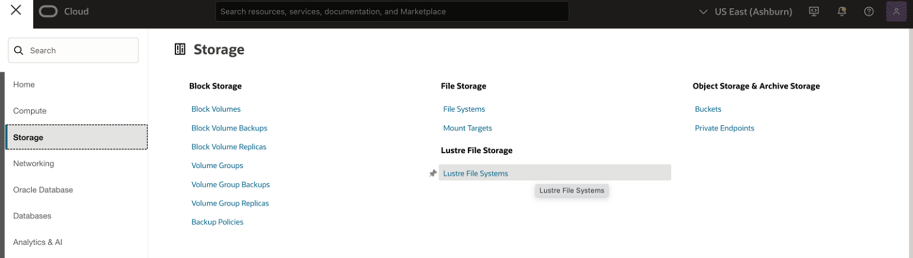 Figure 1: Select Lustre File Storage in Oracle Cloud Console