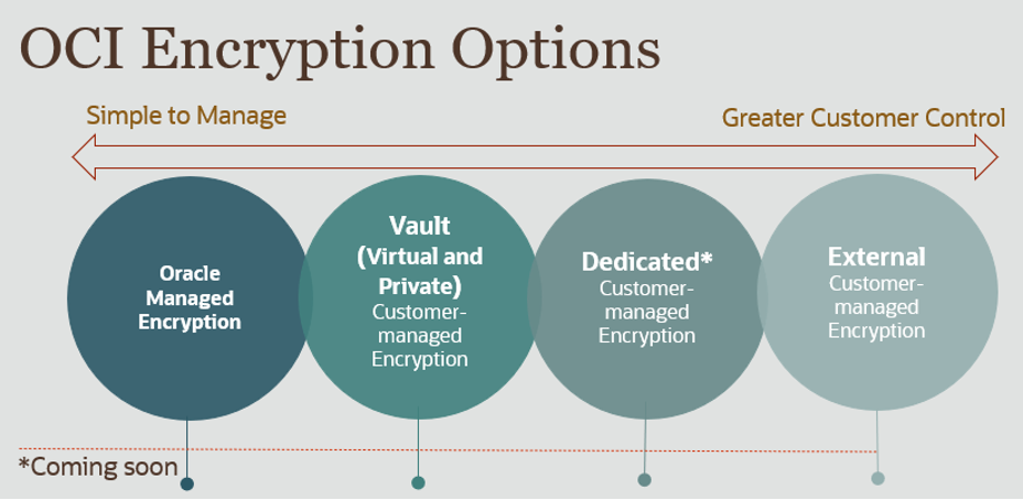 A graphic depicting the options of the OCI encryption portfolio.