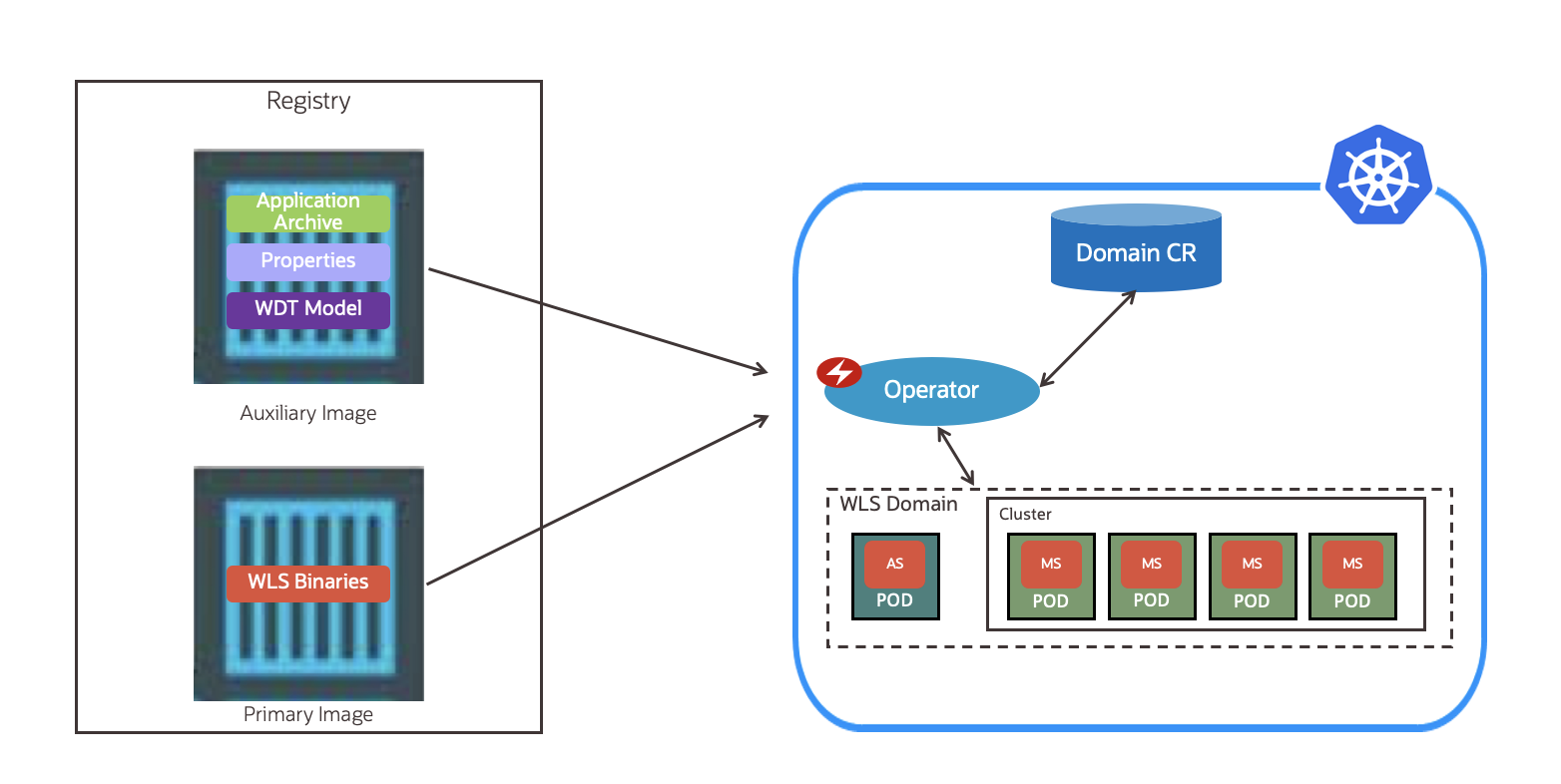 Primary & Auxiliary Images