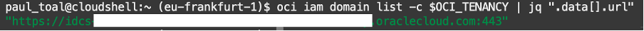 A screenshot of the code output showing the single identity domain in the tenancy.