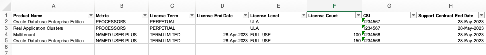 A screenshot of an example Excel file.