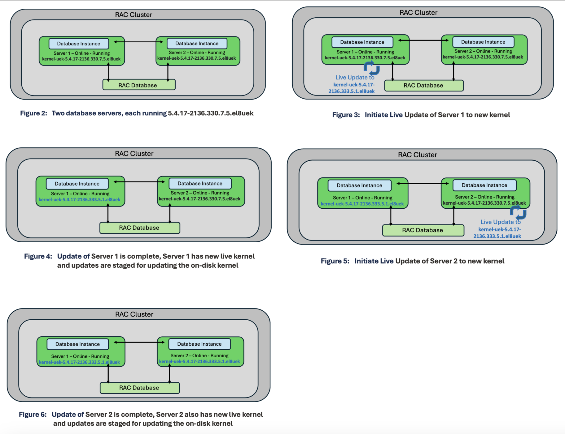Exadata Live Update Runtime